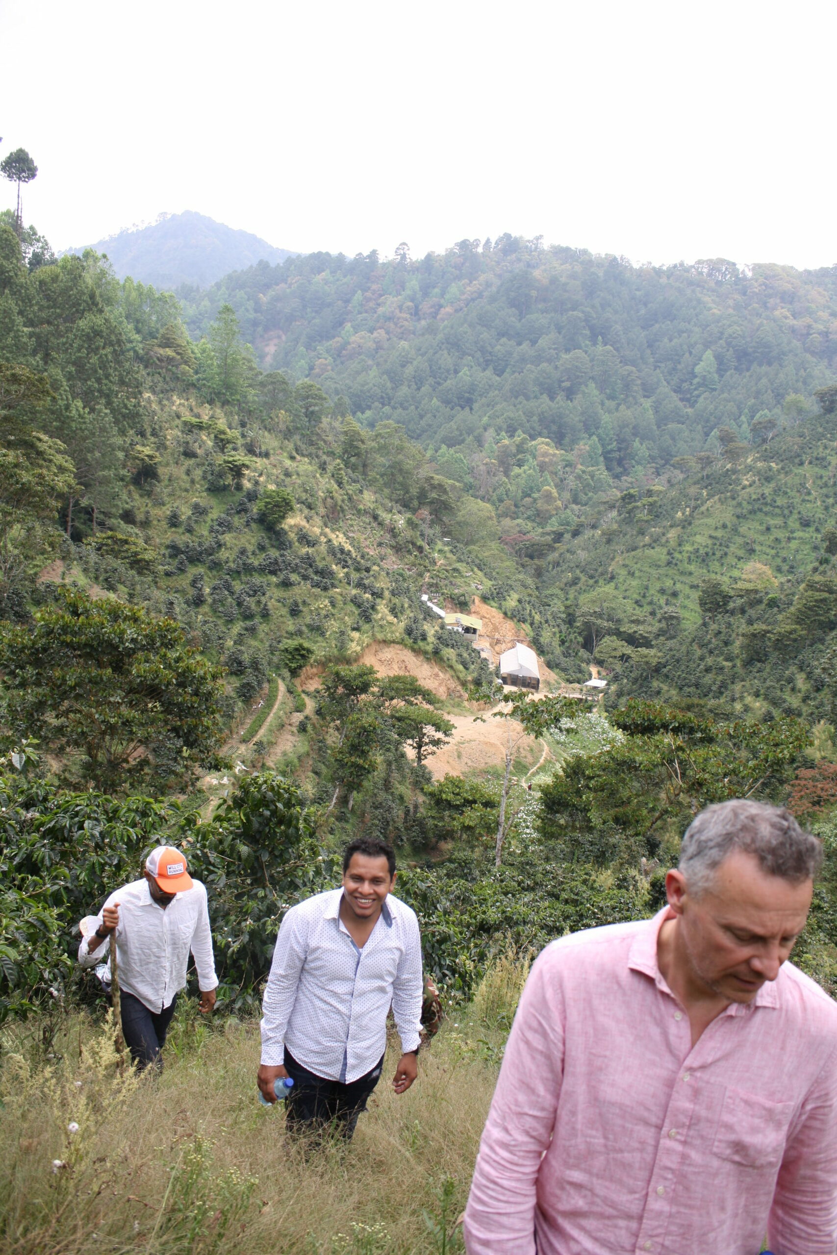 visite-plantation-fincalibre Visite plantation fincalibre
