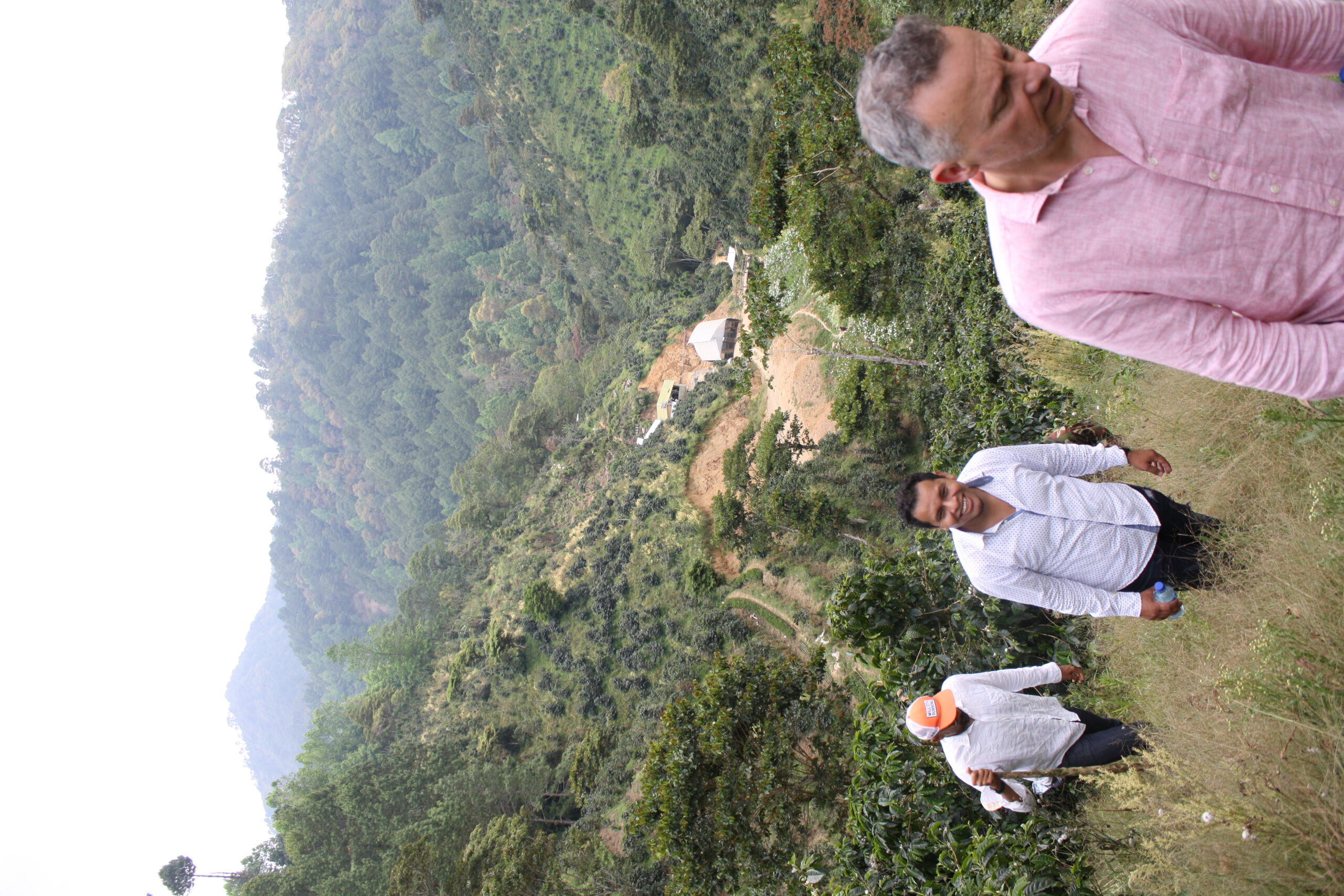 Visite plantation fincalibre