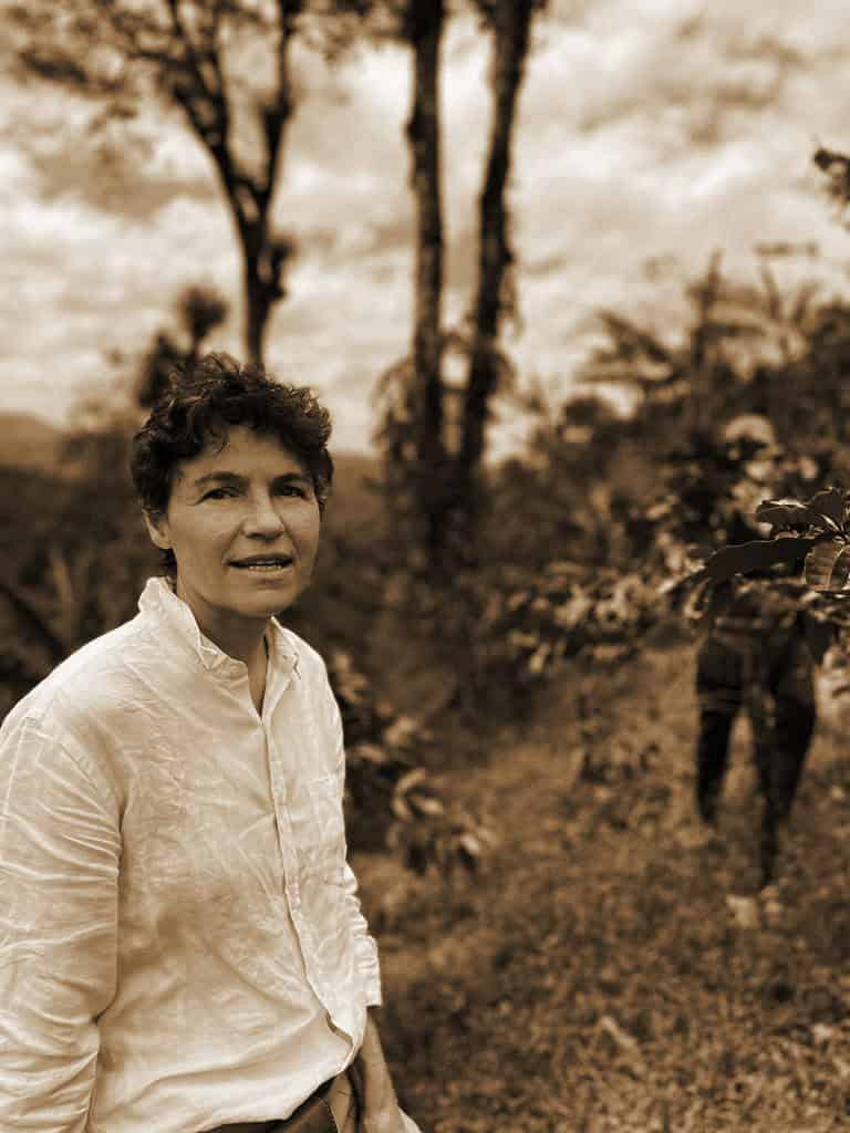 Cv plantation